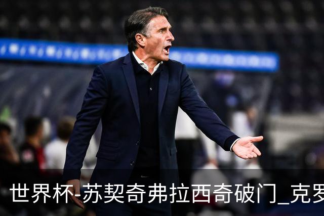 世界杯-苏契奇弗拉西奇破门 克罗地亚2-1加纳小组第二