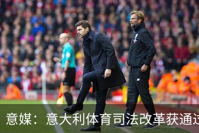 意媒：意大利体育司法改革获通过，新体系将使体育总检察院更关键