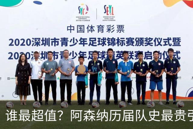 谁最超值？阿森纳历届队史最贵引援实力对比